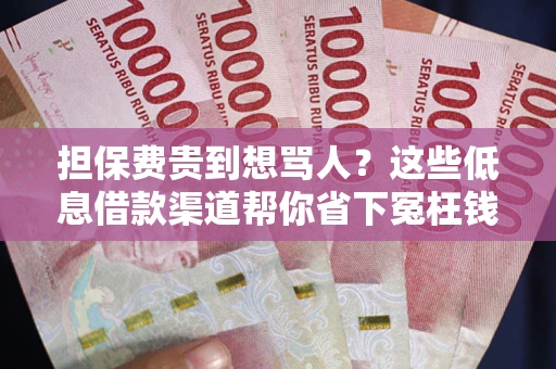 北京担保费贵到想骂人？这些低息借款渠道帮你省下冤枉钱