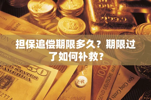 北京担保追偿期限多久？期限过了如何补救？