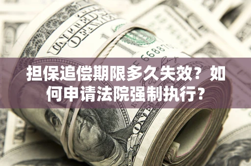 北京担保追偿期限多久失效？如何申请法院强制执行？