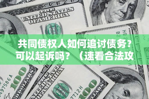 北京共同债权人如何追讨债务？可以起诉吗？（速看合法攻略）