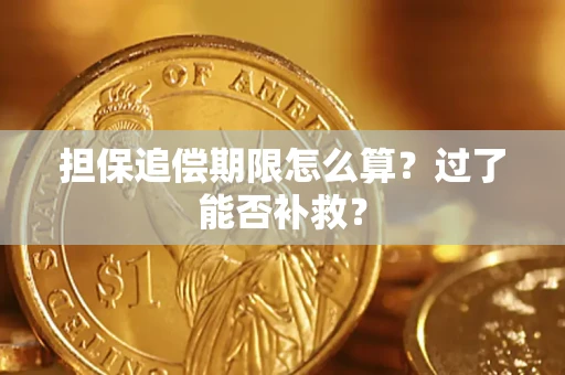 北京担保追偿期限怎么算？过了能否补救？